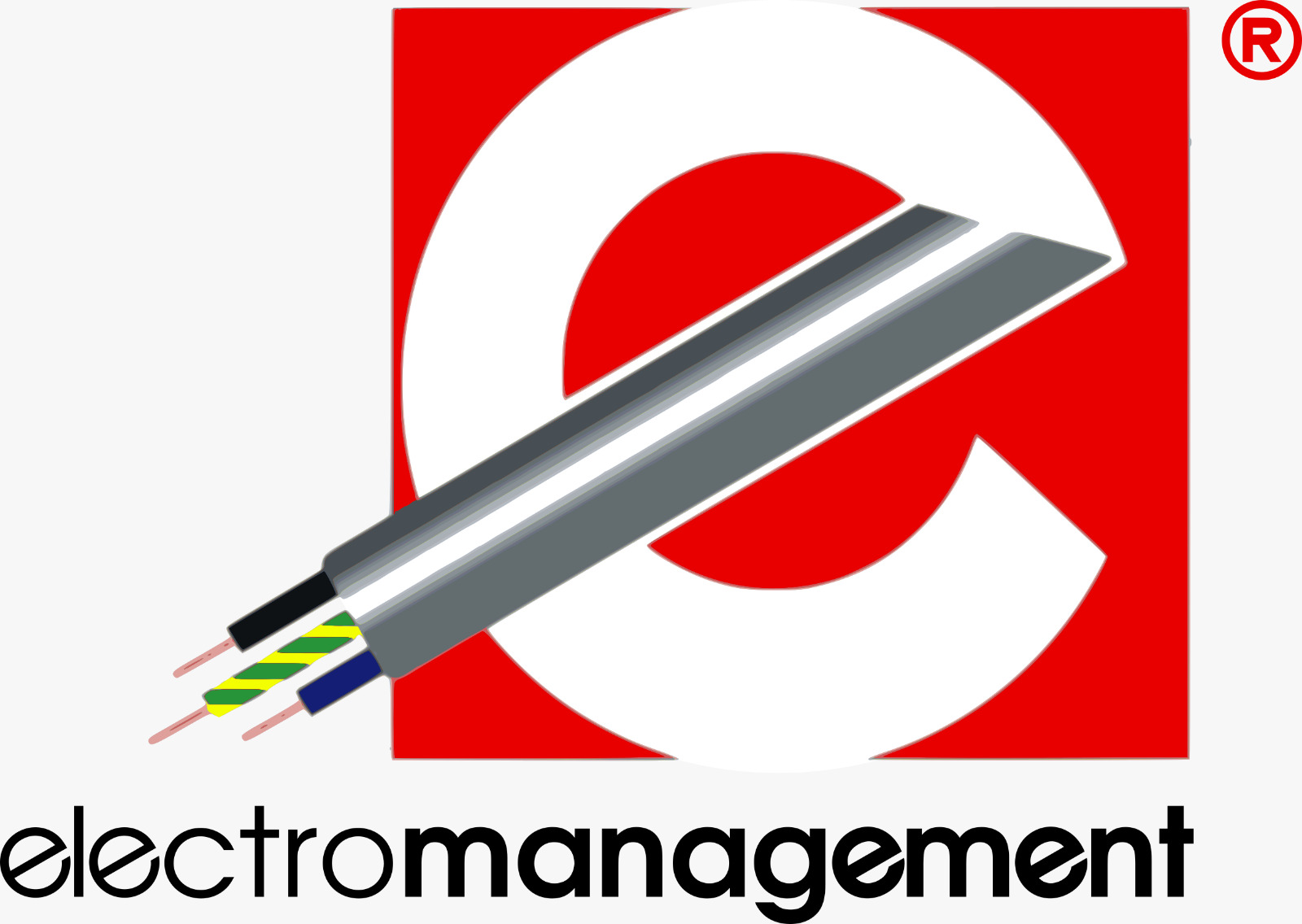 Electromanagement Srl